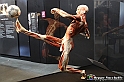 VBS_2626 - Mostra Body Worlds